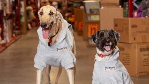 Bunnings Dog Hoodies $10 @ Bunnings